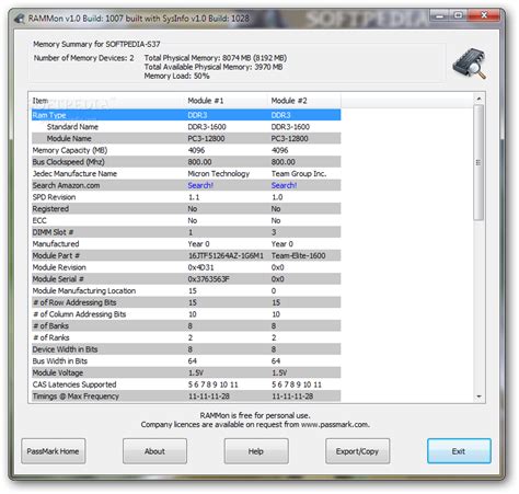 RAMMon for Windows .